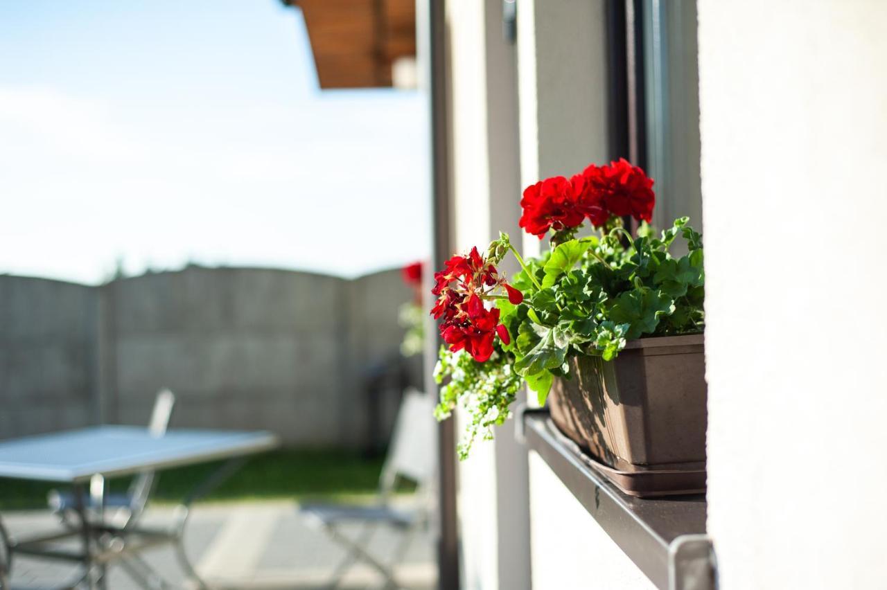 Apartment Nasze Wybrzeze